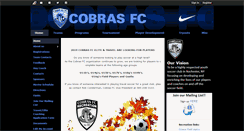 Desktop Screenshot of portal.cobrasfc.com
